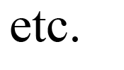 'etc.' in Times New Roman